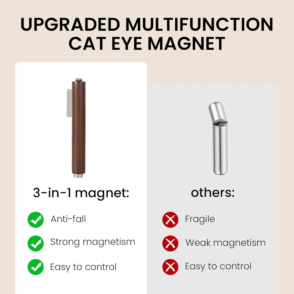 Professional Cat Eye Nail Art Magnet Set
