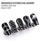 Professional Cat Eye Nail Art Magnet Set