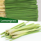 Lemongrass Citronella Natural Incense Sticks