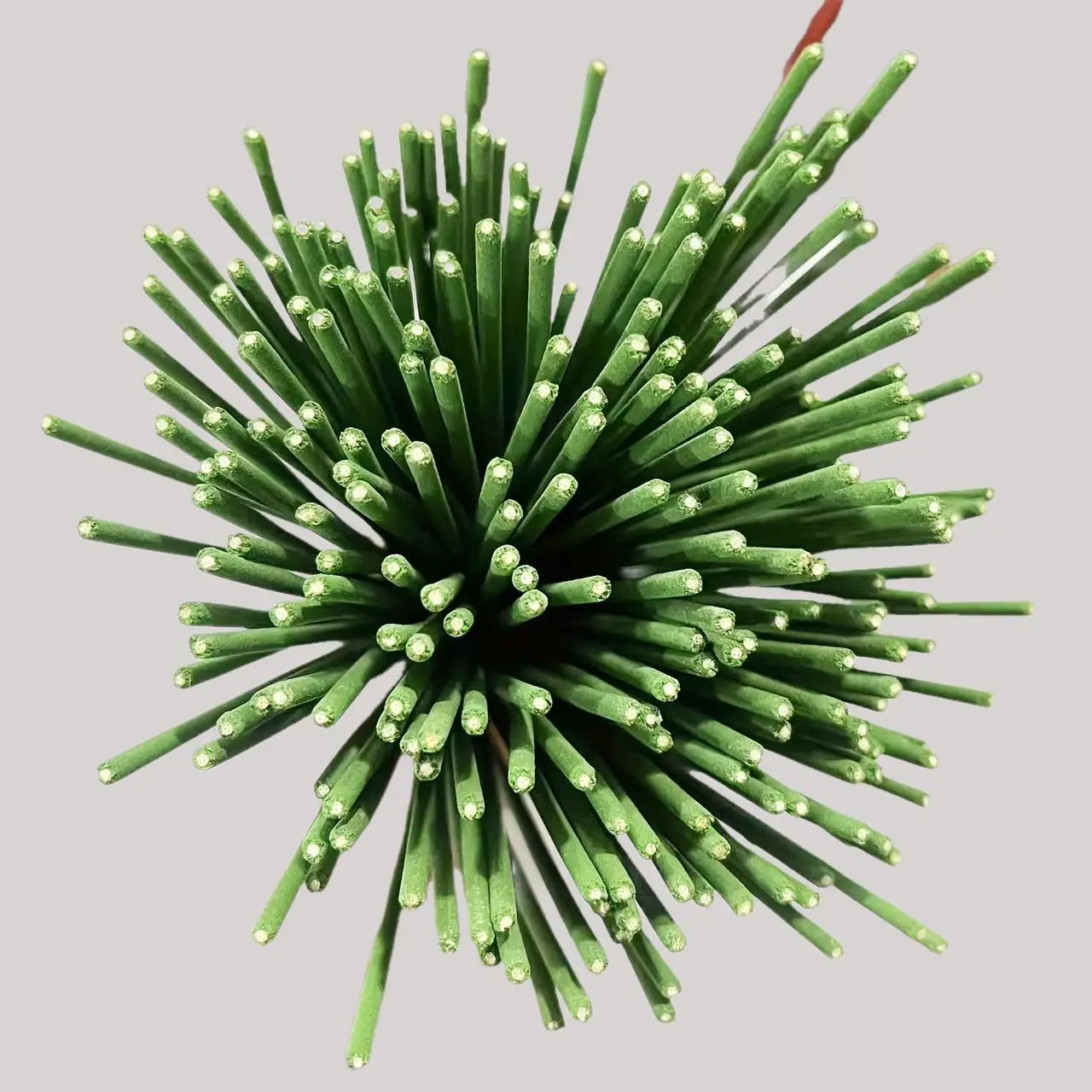 Lemongrass Citronella Natural Incense Sticks - 5